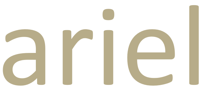 eran ariel software development and digital